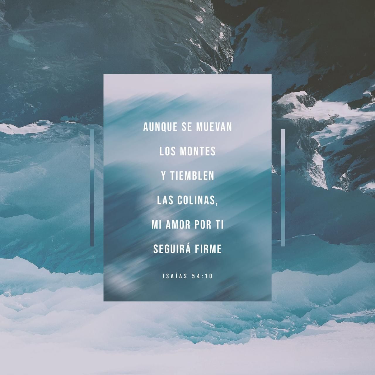 Rodrigo Ibáñez Garrido-7