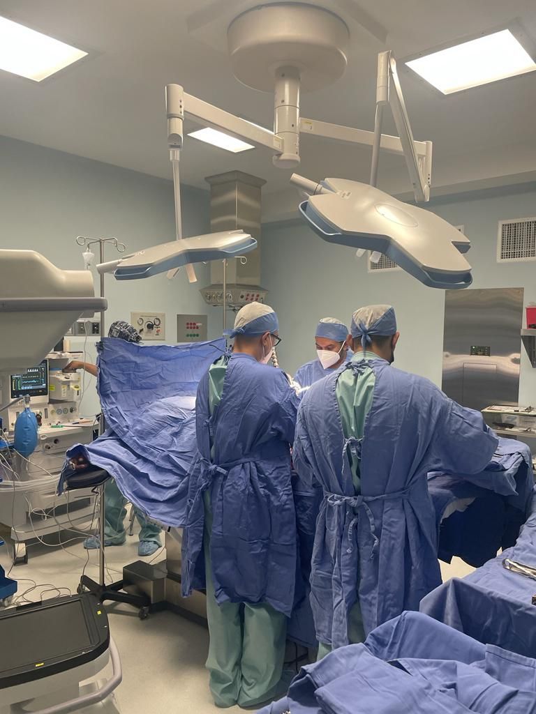 Felix Alfaro Arias-26