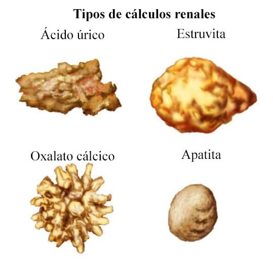 Eric Misael Beas Pérez-15