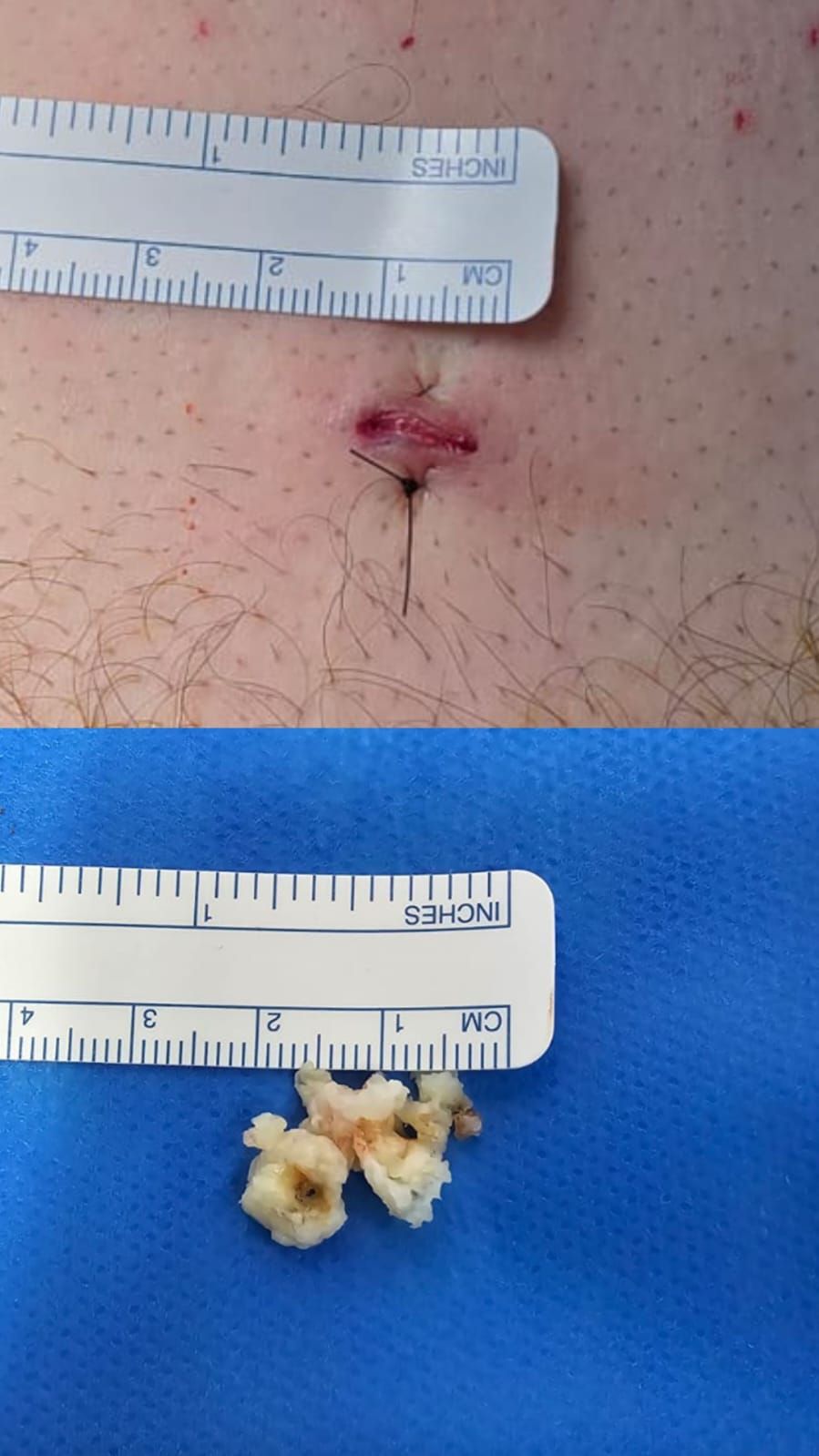 Francisco Javier Cisneros Oliva-4