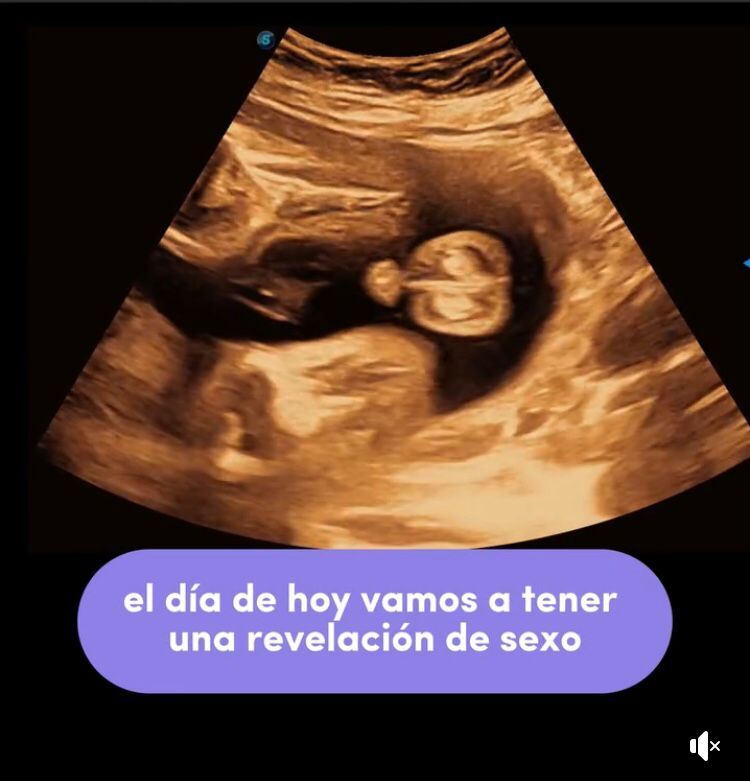 Guadalupe Muñoz Castro-12