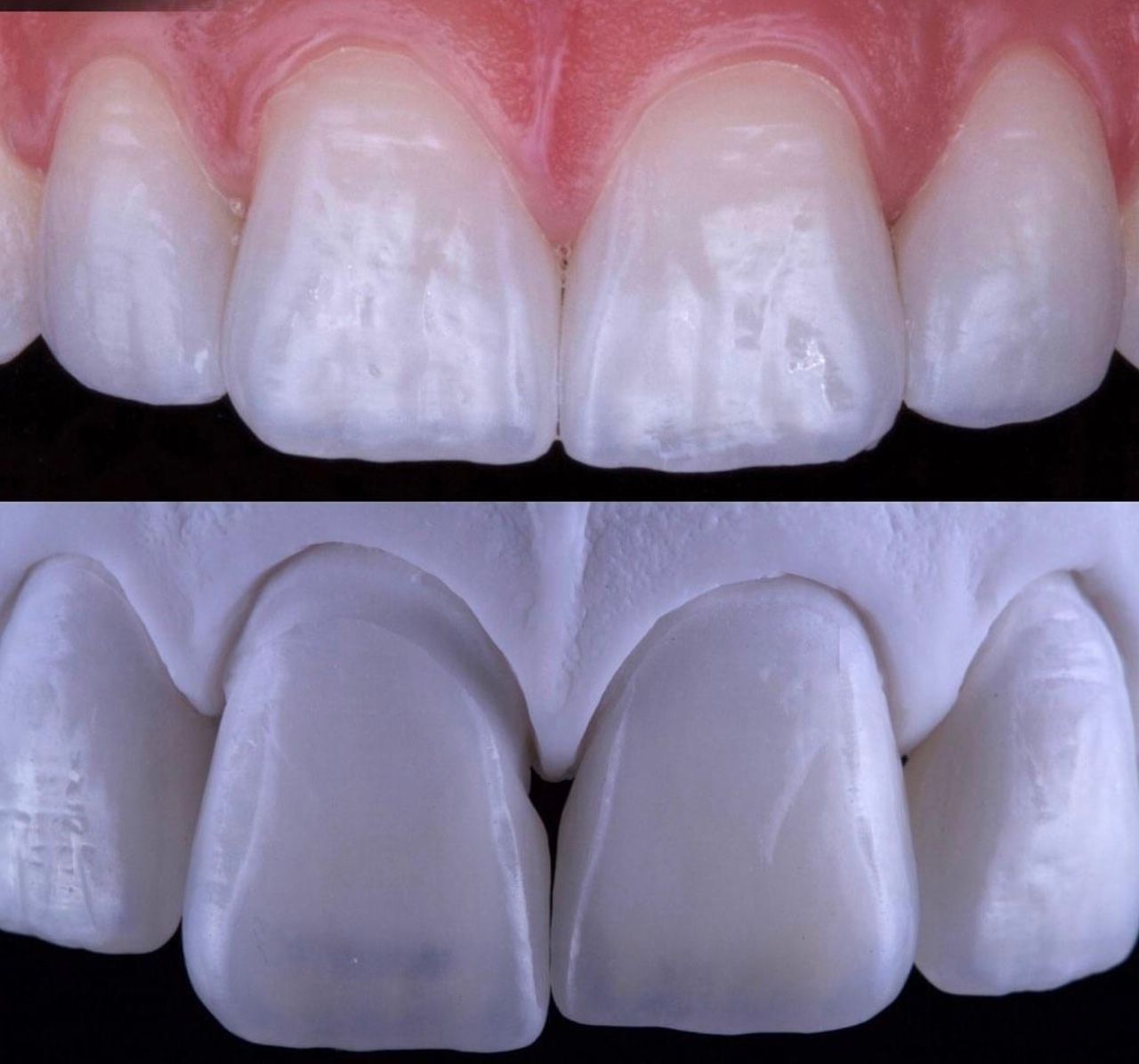 Ernesto Rojas Calderon-51