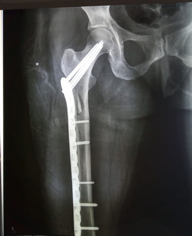 Jorge Zambada Loera-8