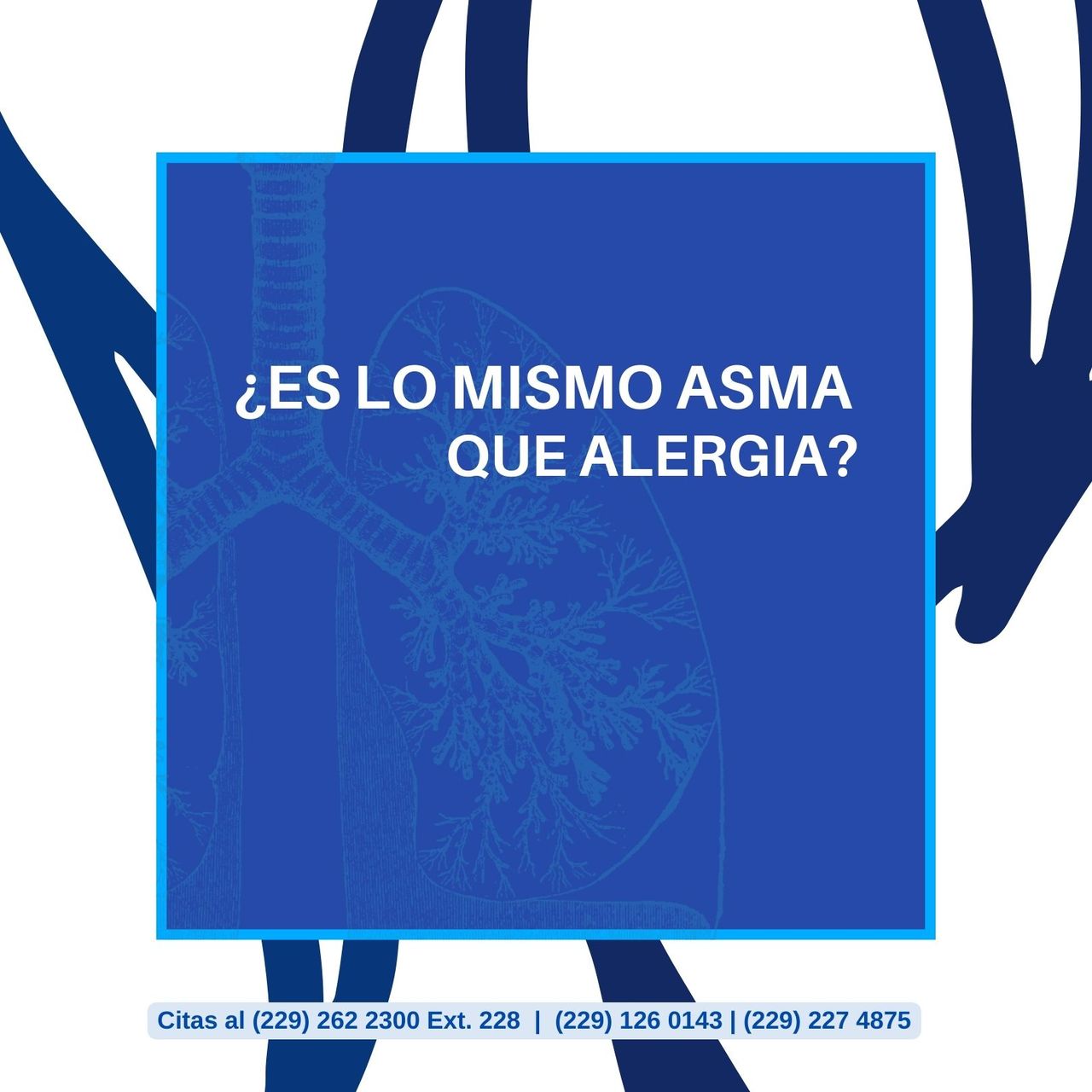 Ángel Alemán Márquez-43