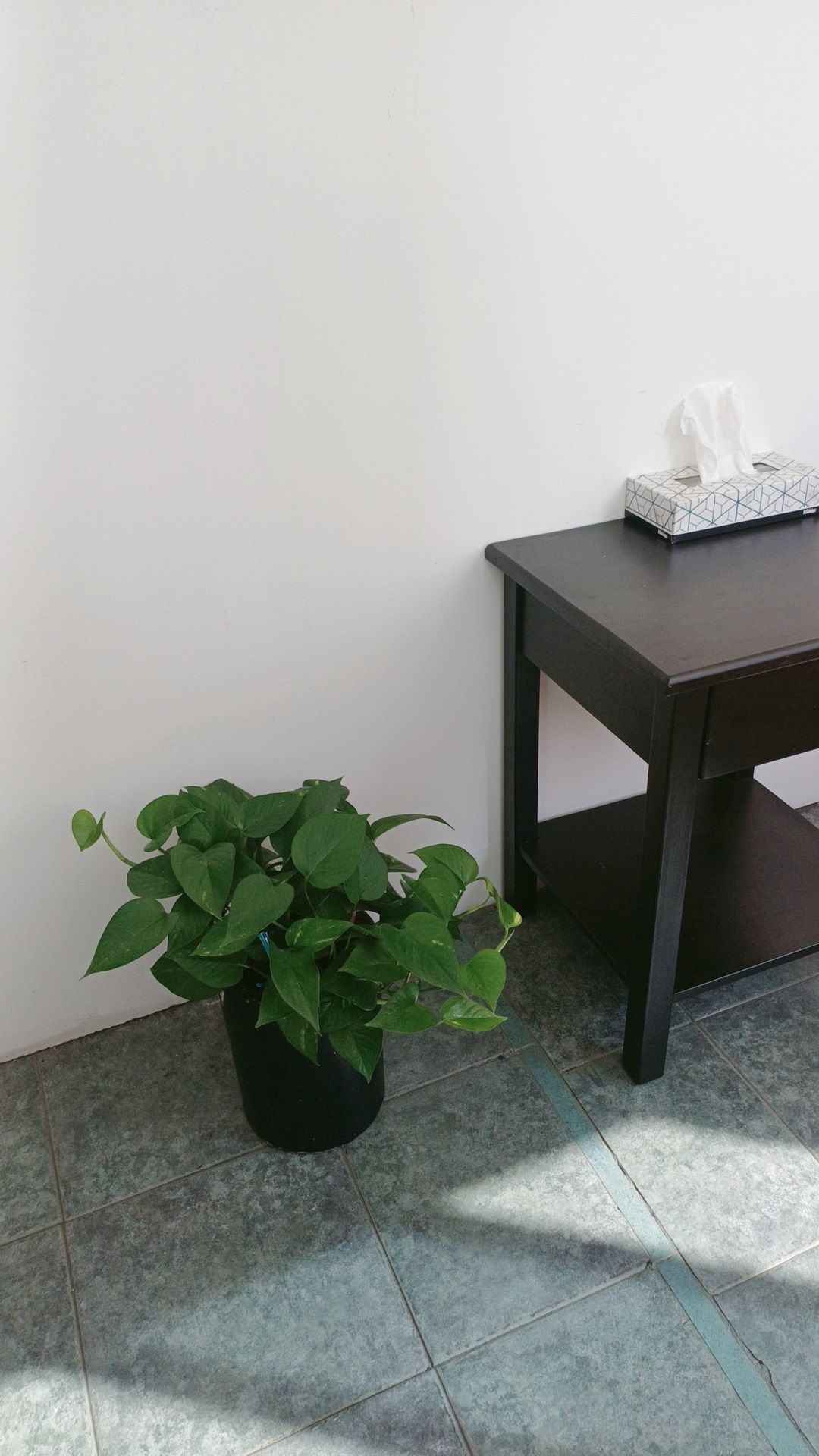 Leticia Huerta Jiménez-16