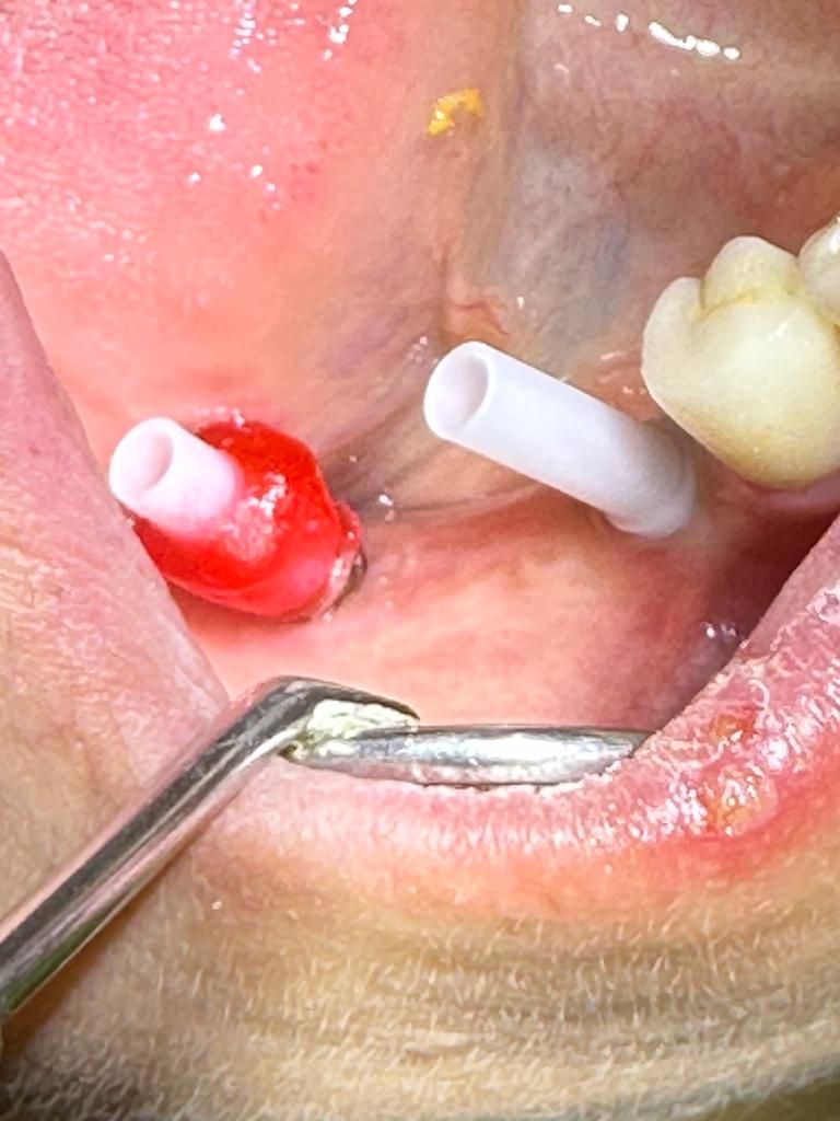 Martha Grissel Alcantar Camacho-22