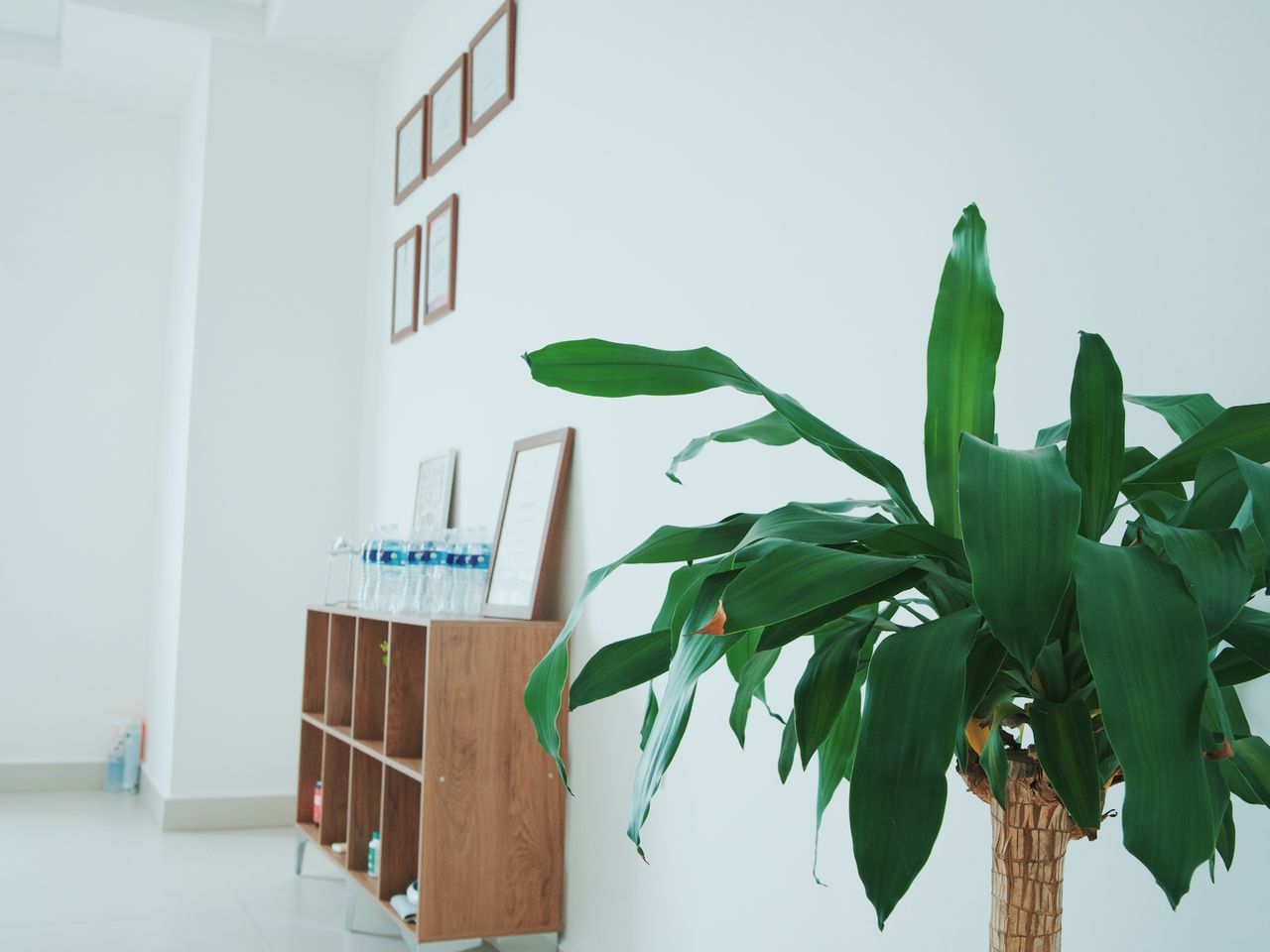 Lizett Candelas Lango-13