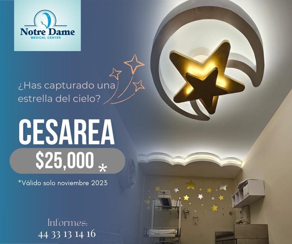 Guadalupe Muñoz Castro-63