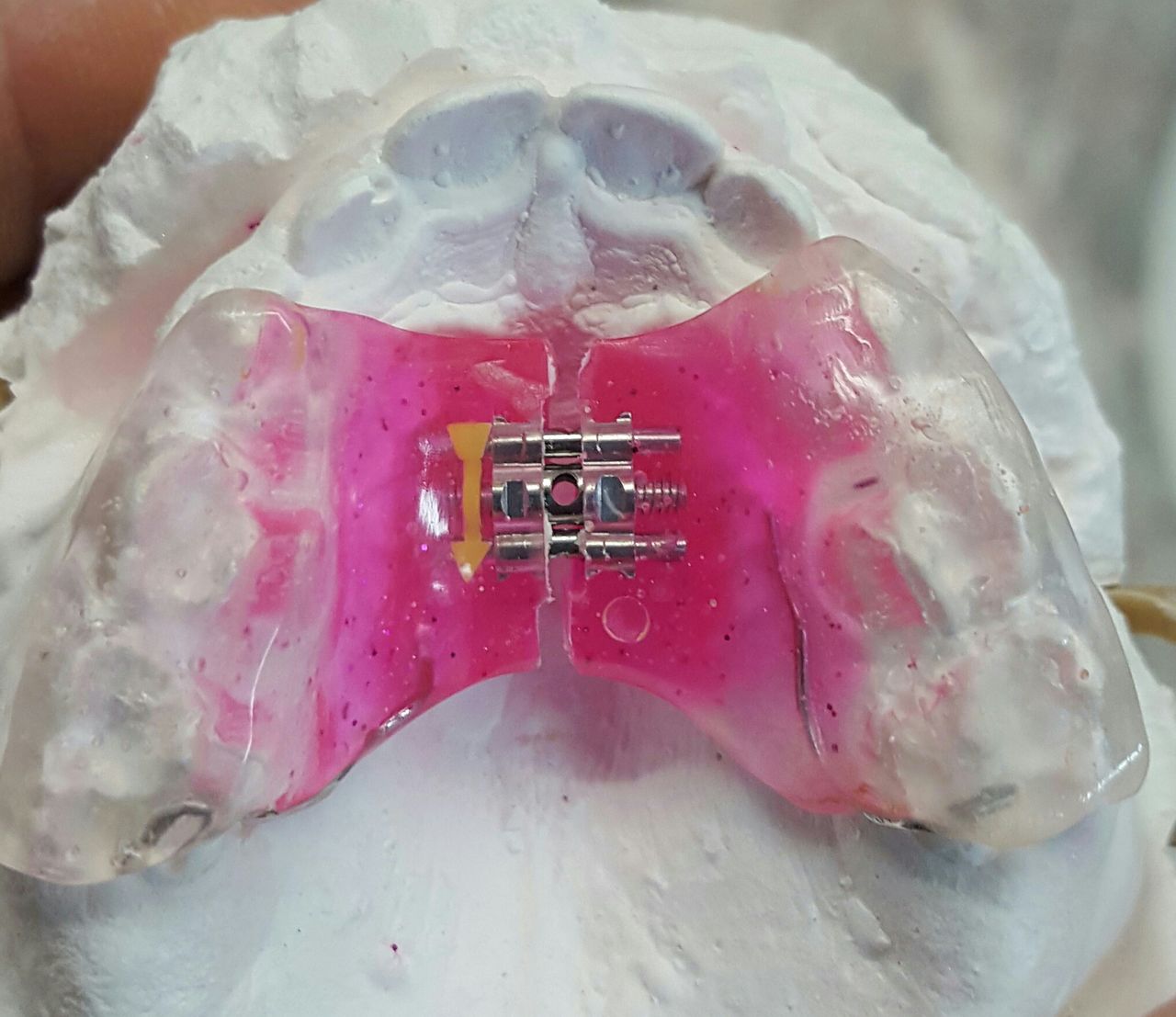 Patricia Rizo Palos-14