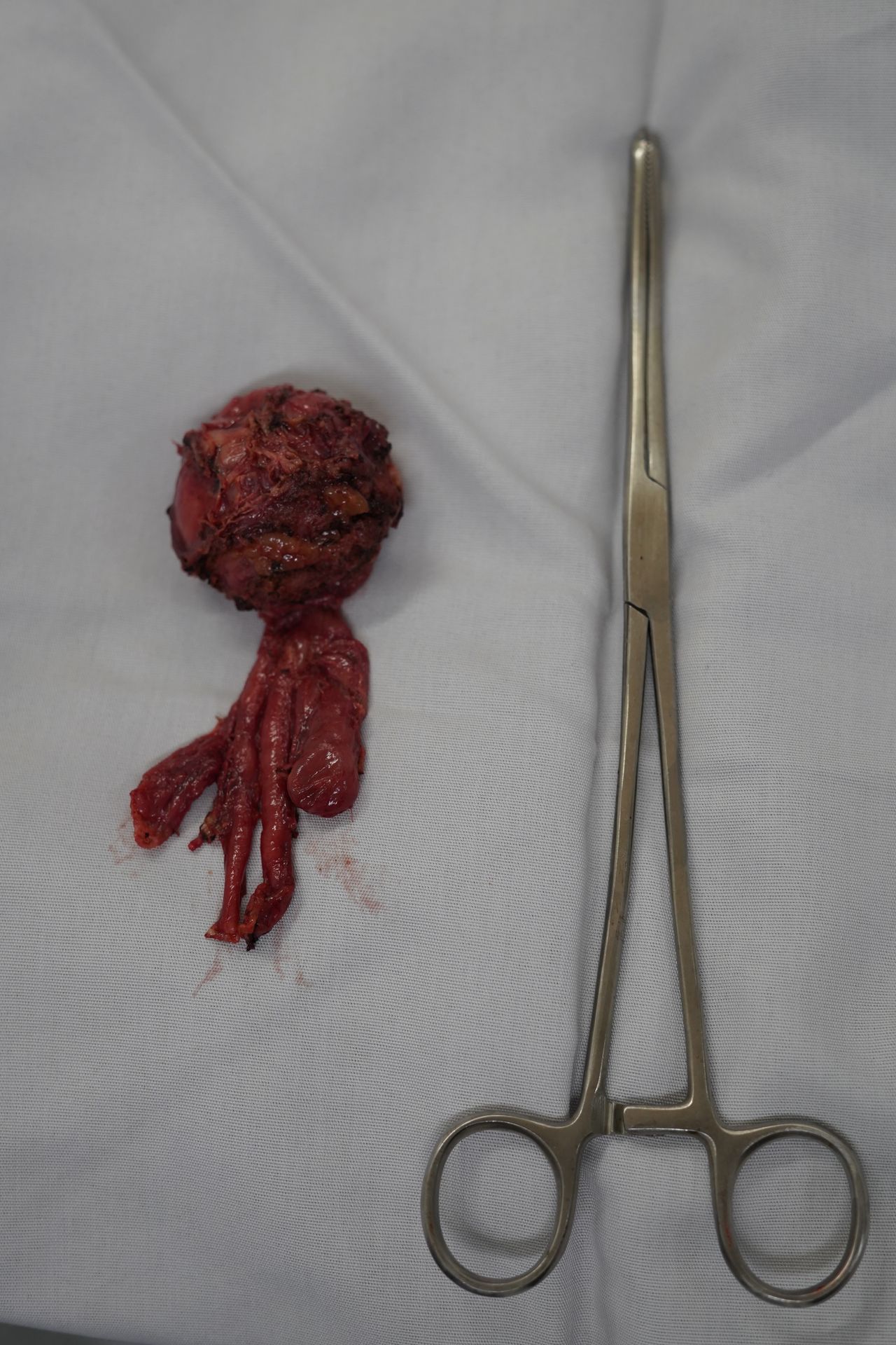 Jorge Alberto Juárez Varela-74