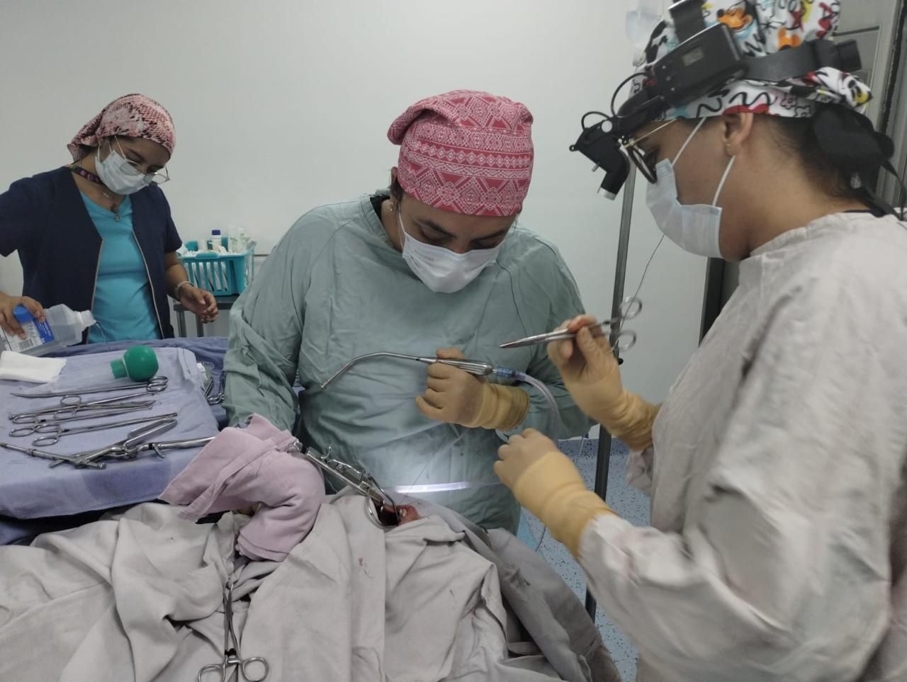 Patricia Mireles Garcia-1