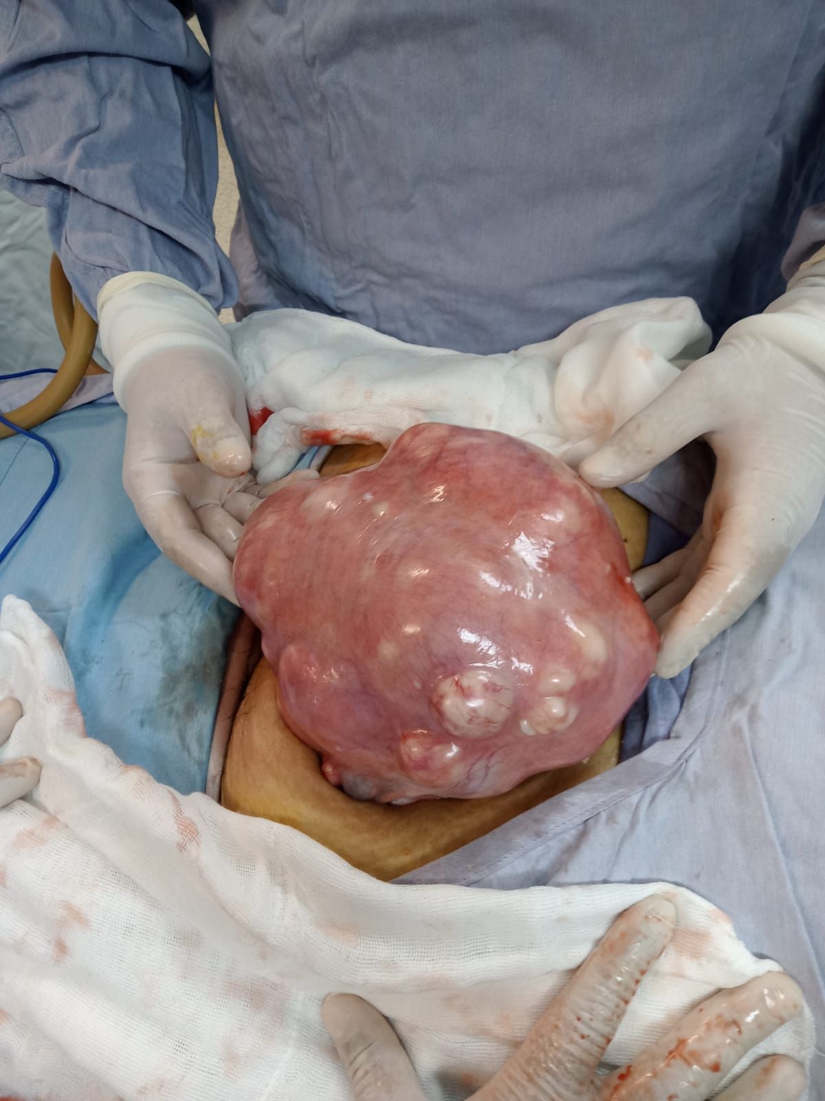 Andrés García Laguna-0