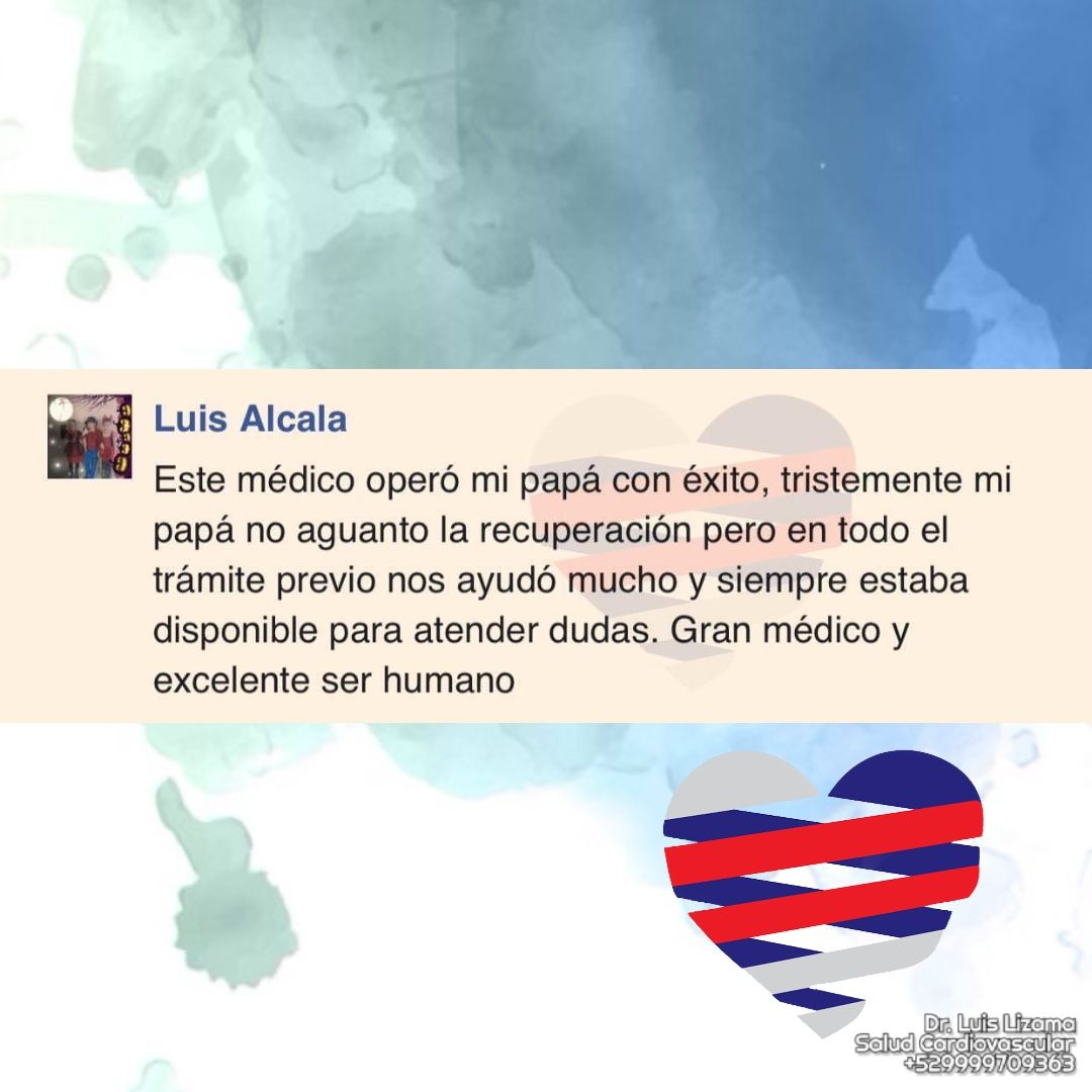 Luis Daniel Lizama Rodrí­guez-4