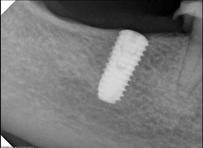 Adriana Sánchez Arreola-12