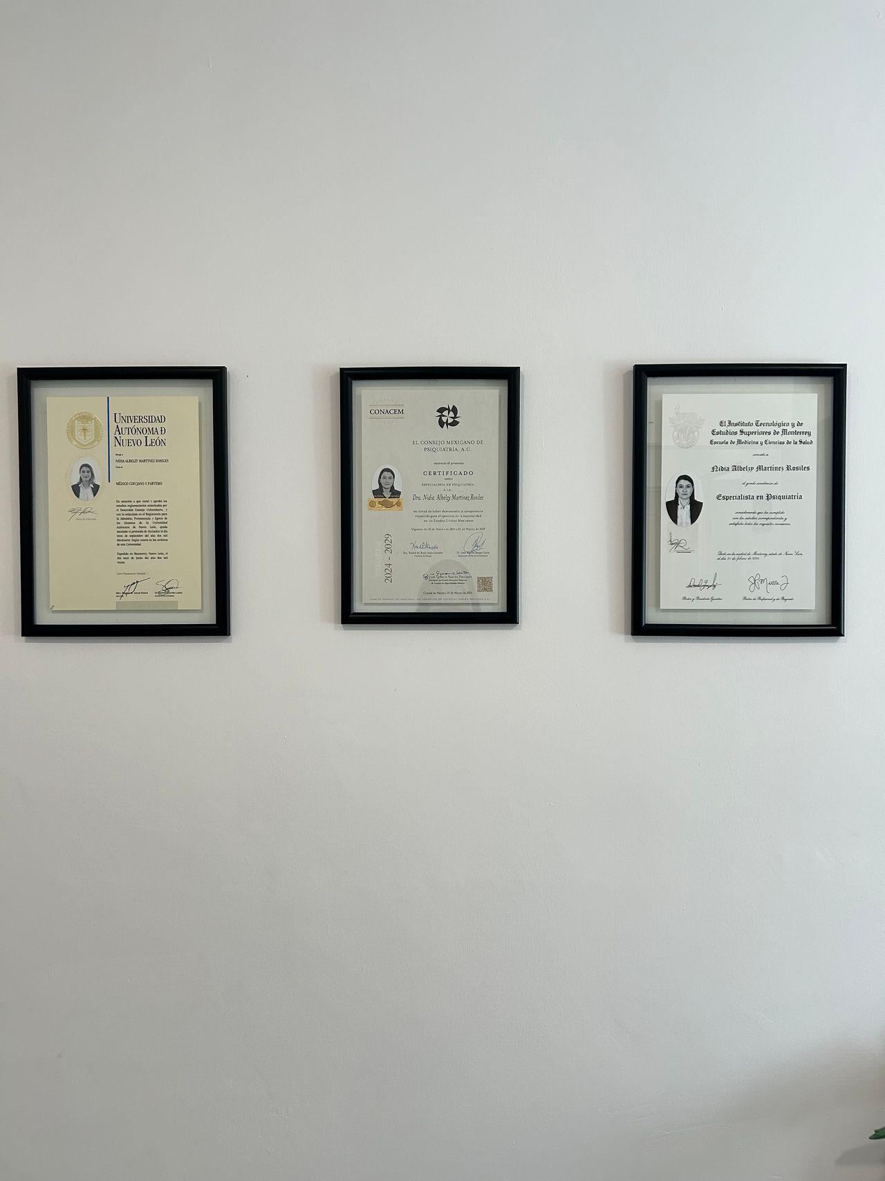 Nidia Albelzy Martínez Rosiles-3