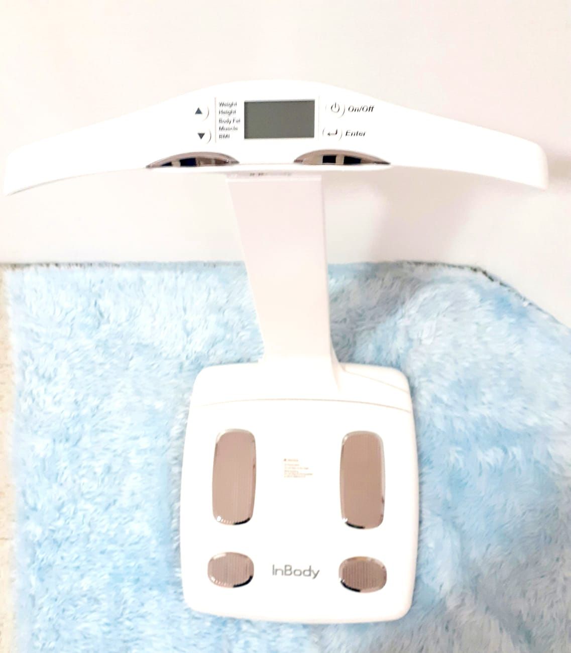 Angélica García Barberi-2