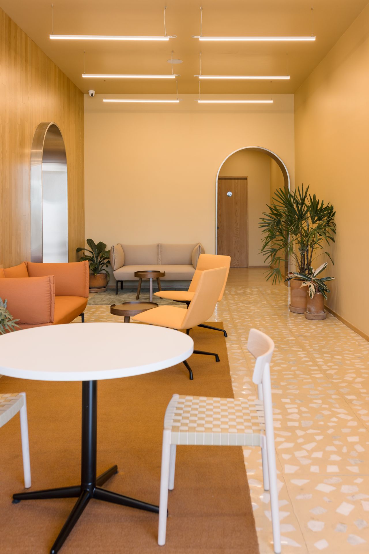 María Guadalupe Nolazco Beltrán-4