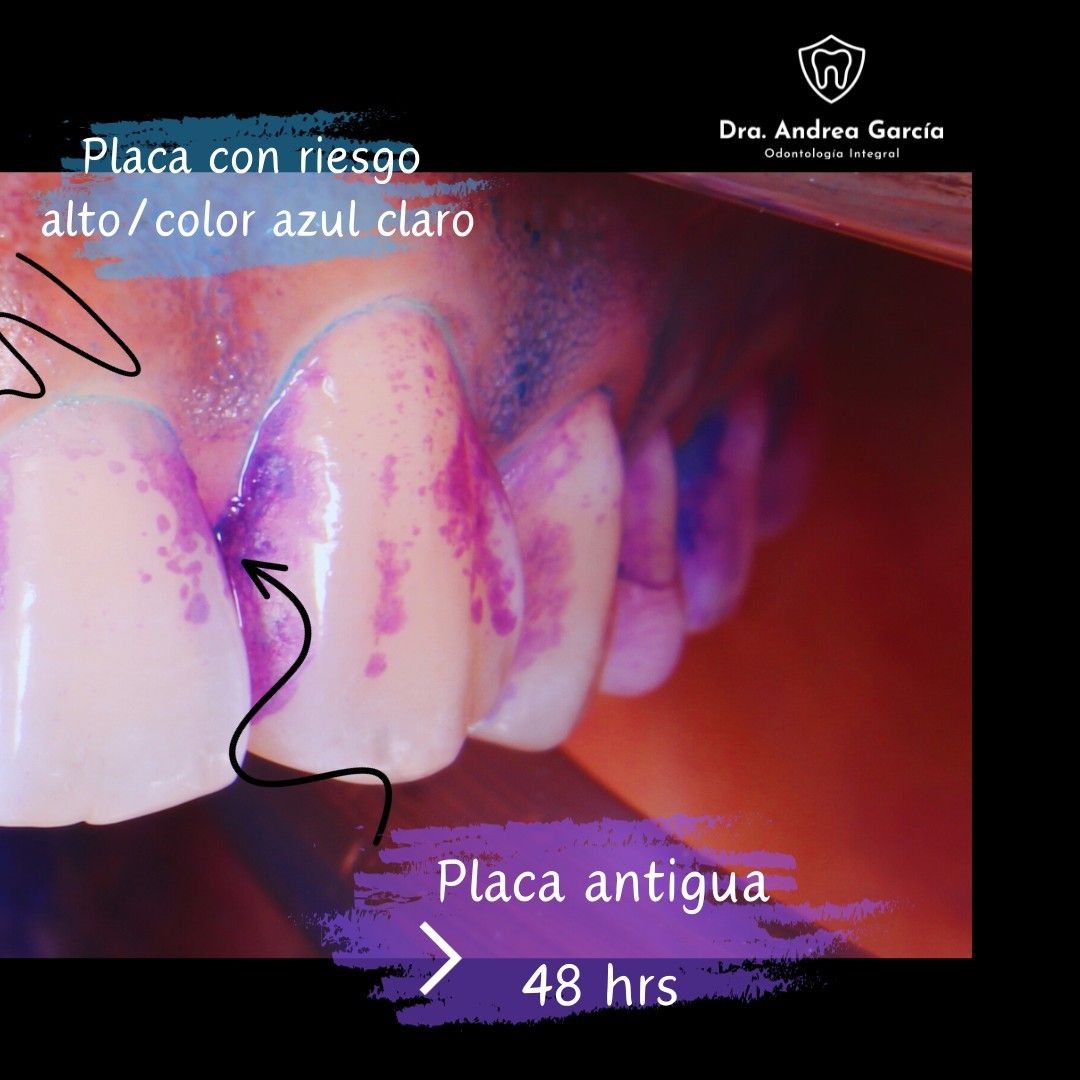 Andrea Hernández Garcia-7