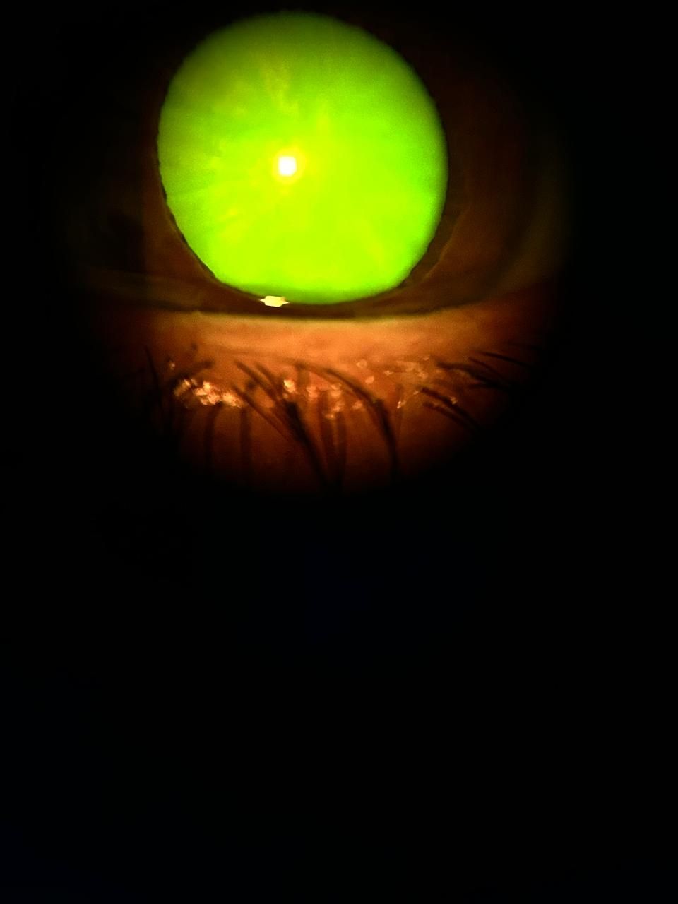 Daniel Martin Laguna Muñoz-60