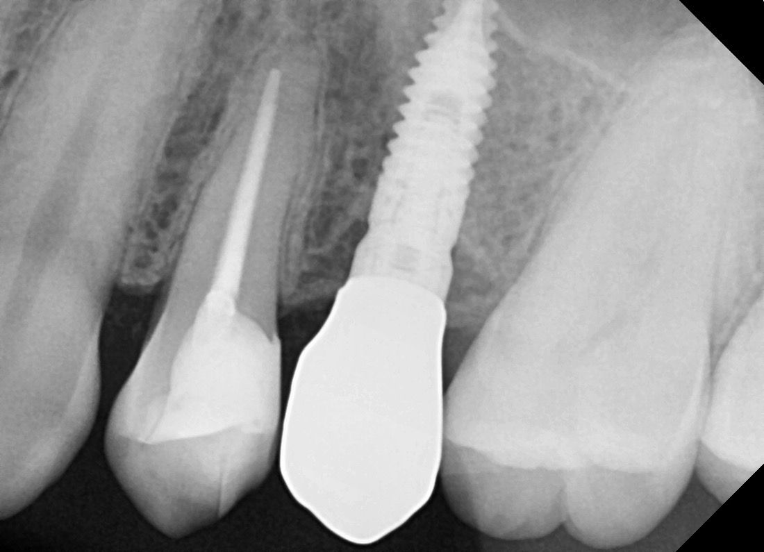 Francisco Jose Vives Serrano-36