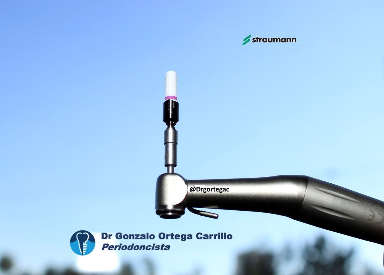 Gonzalo Ortega Carrillo-8