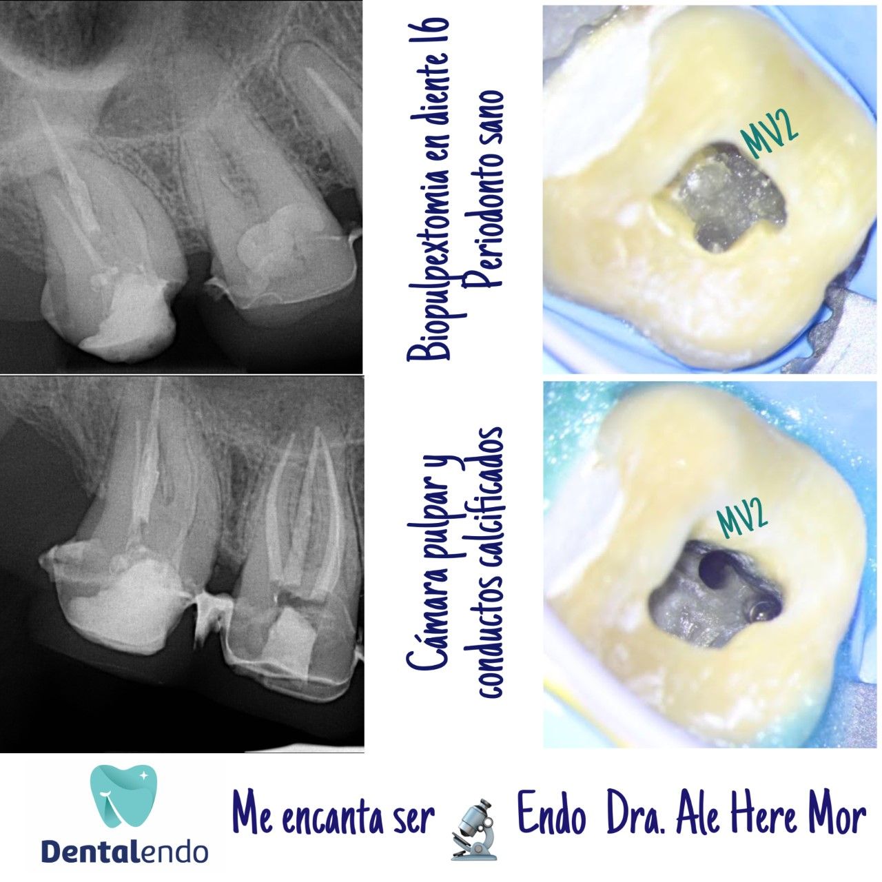 Alejandra Heredia Morán-17