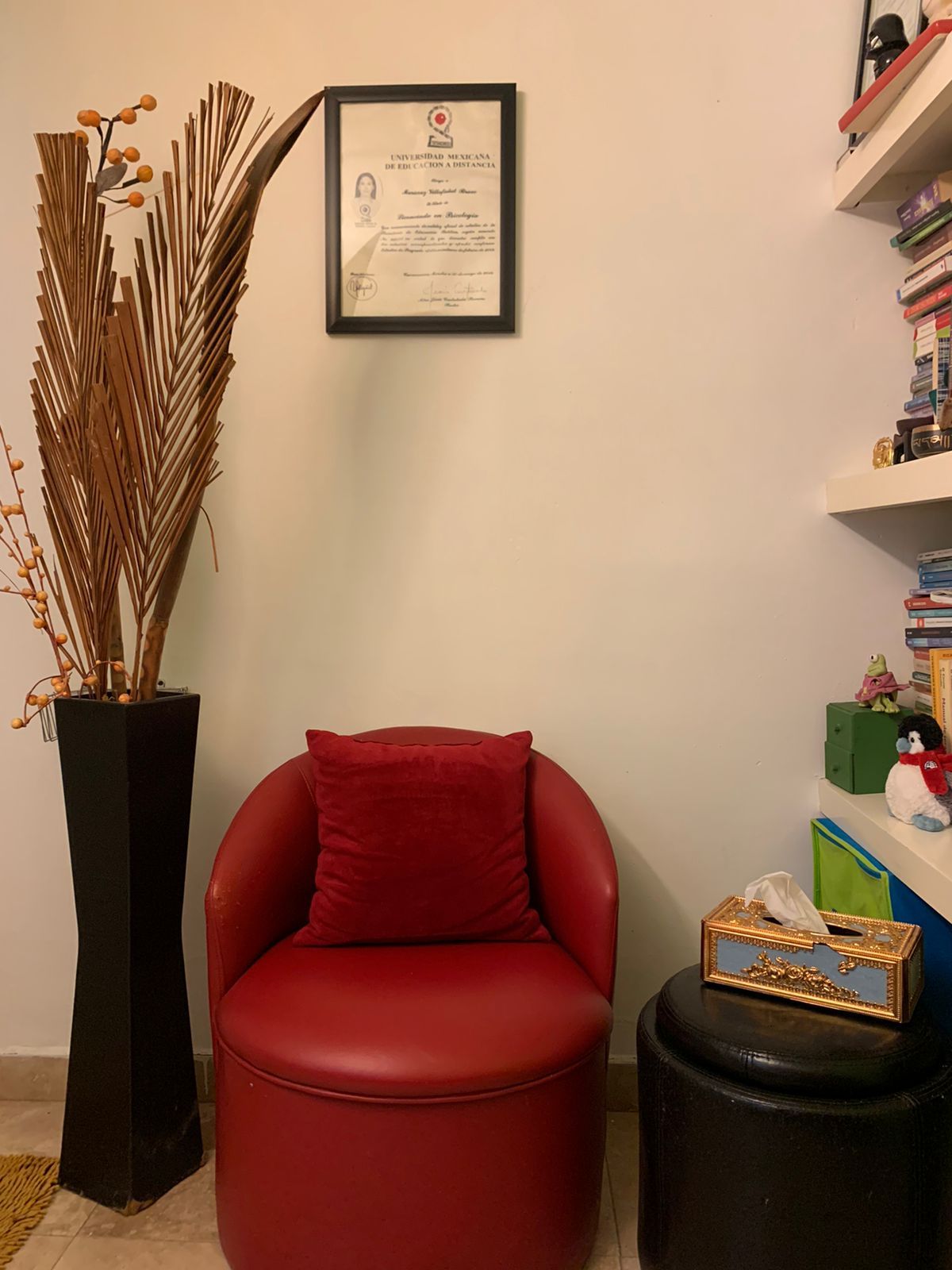 Maricruz Villafañet Bravo-1