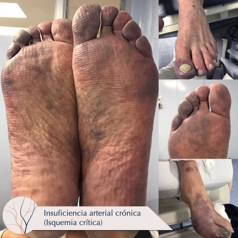 Erika Berenice Ramírez Pérez-13