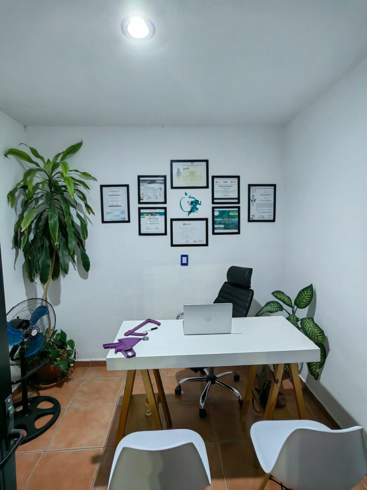 Daniela Alonso Razo-0