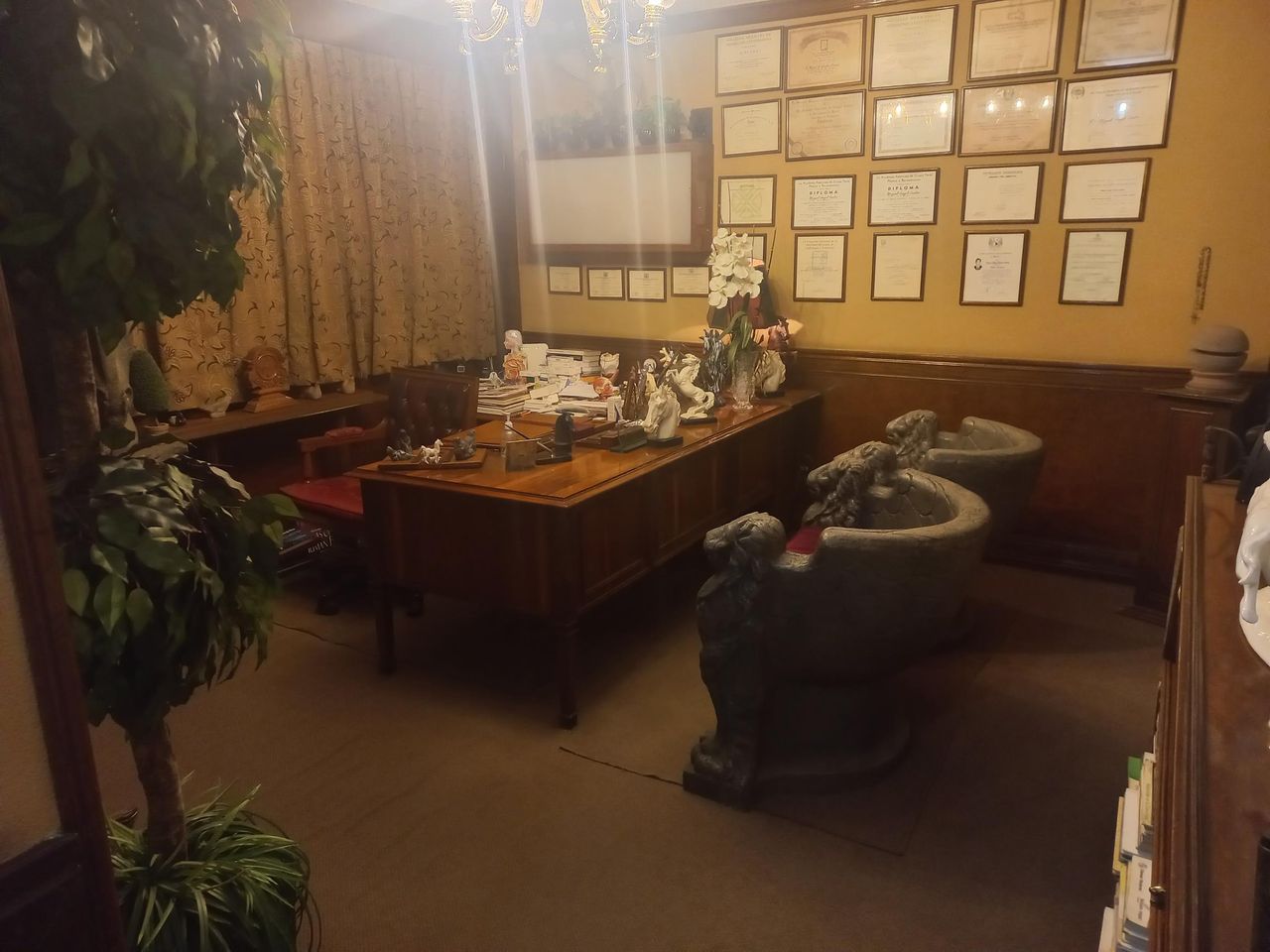 Adolfo Castro Rosas-2