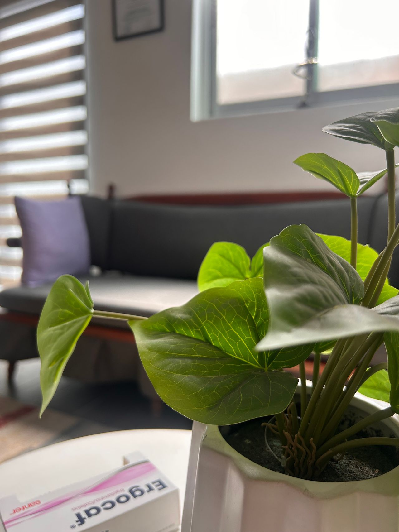 Josafat Díaz Rodríguez-1