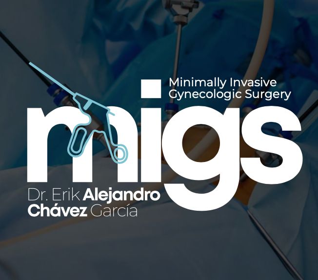 Erik Alejandro Chávez García-0