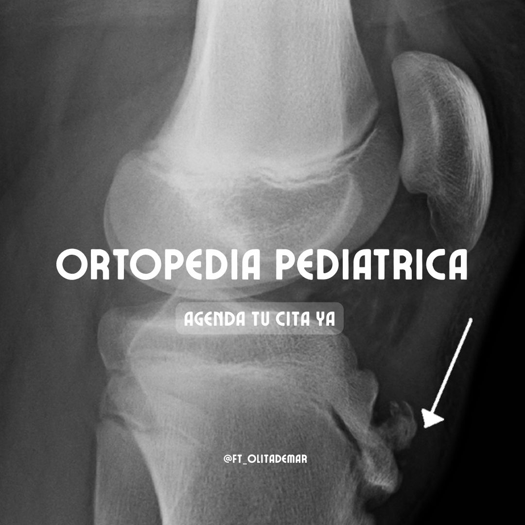 Mariana Macias González-10