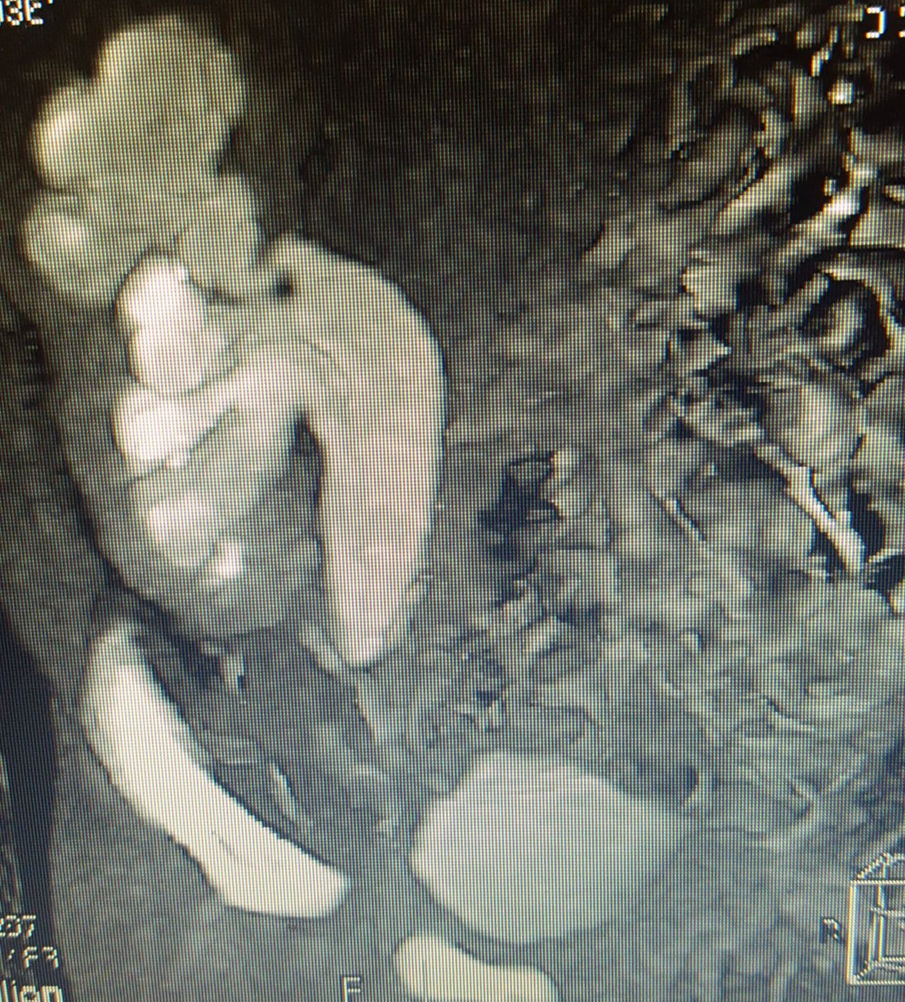 Teresa Eugenia González Fuentes-6