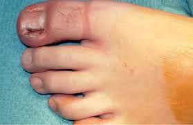 Grecia Balderrama Rodríguez-3