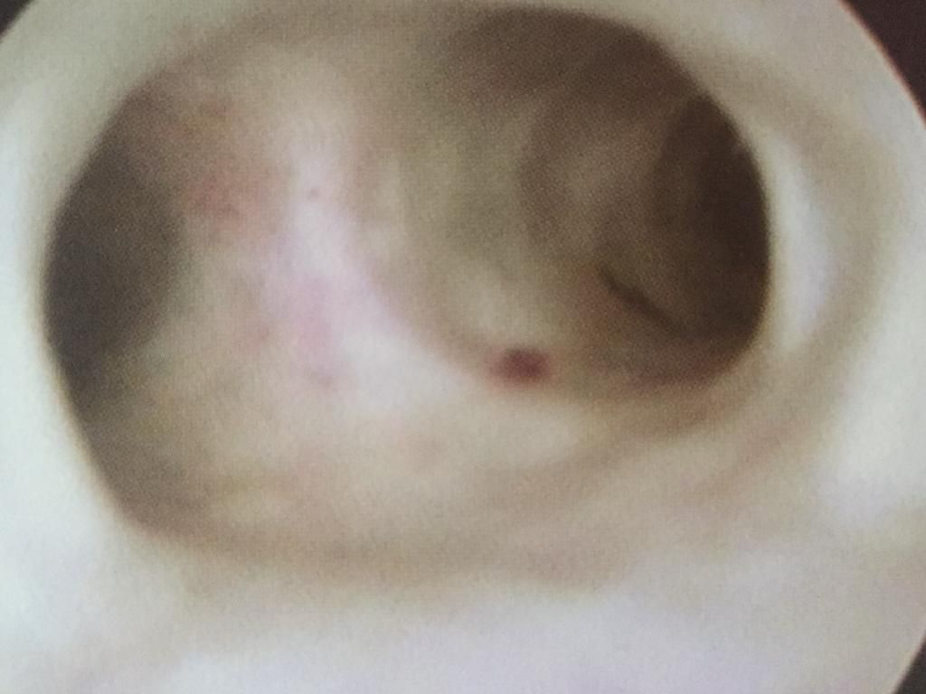 Alfredo Mendez Samano-14