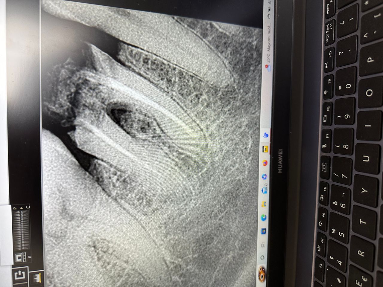 Fernanda Del Rio Valadez-1