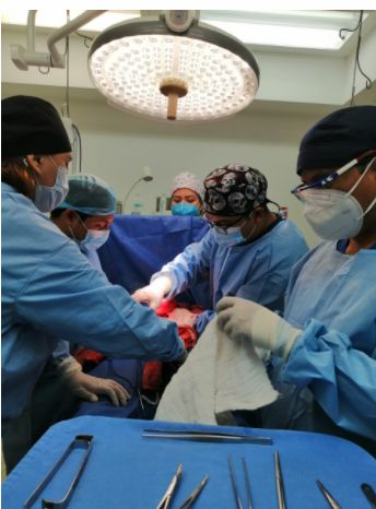 Daniel Rodriguez Hernandez-4