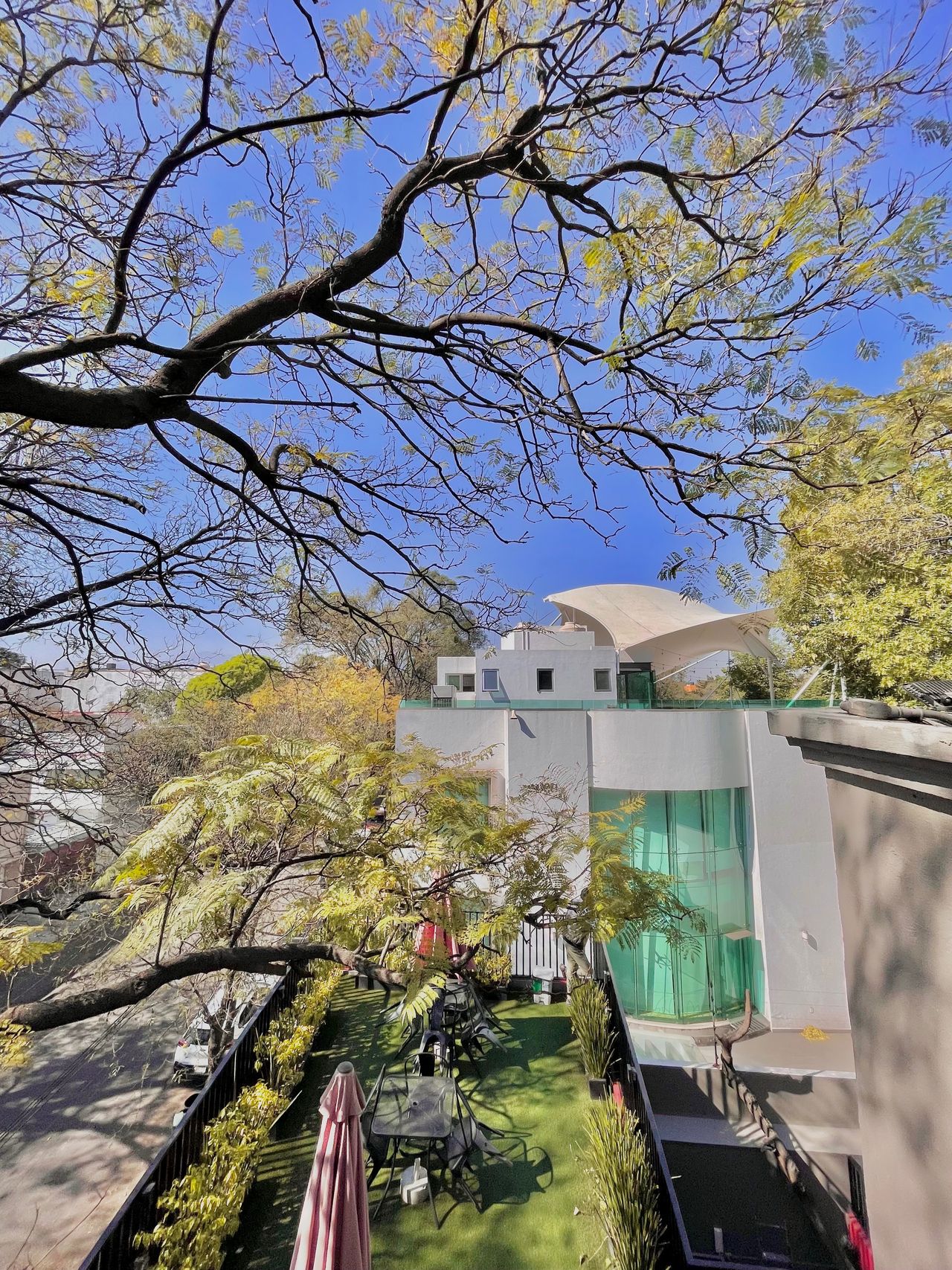 Paola Acevedo Quezada-3