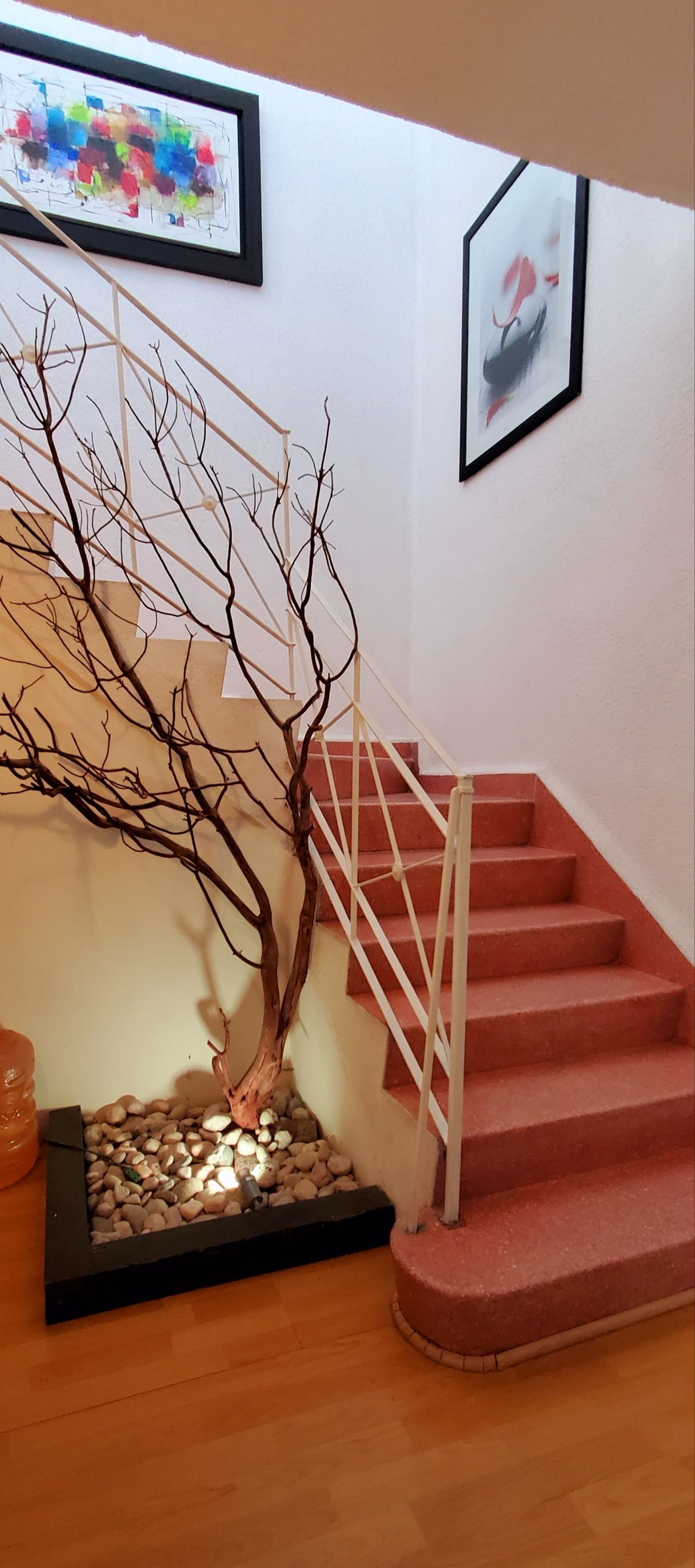 Ernesto Galindo Albicker-5