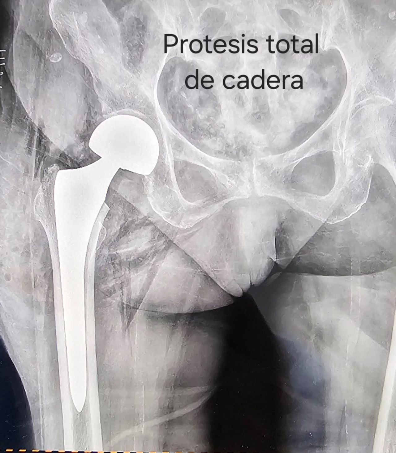 Alejandro Velasco Solórzano-2