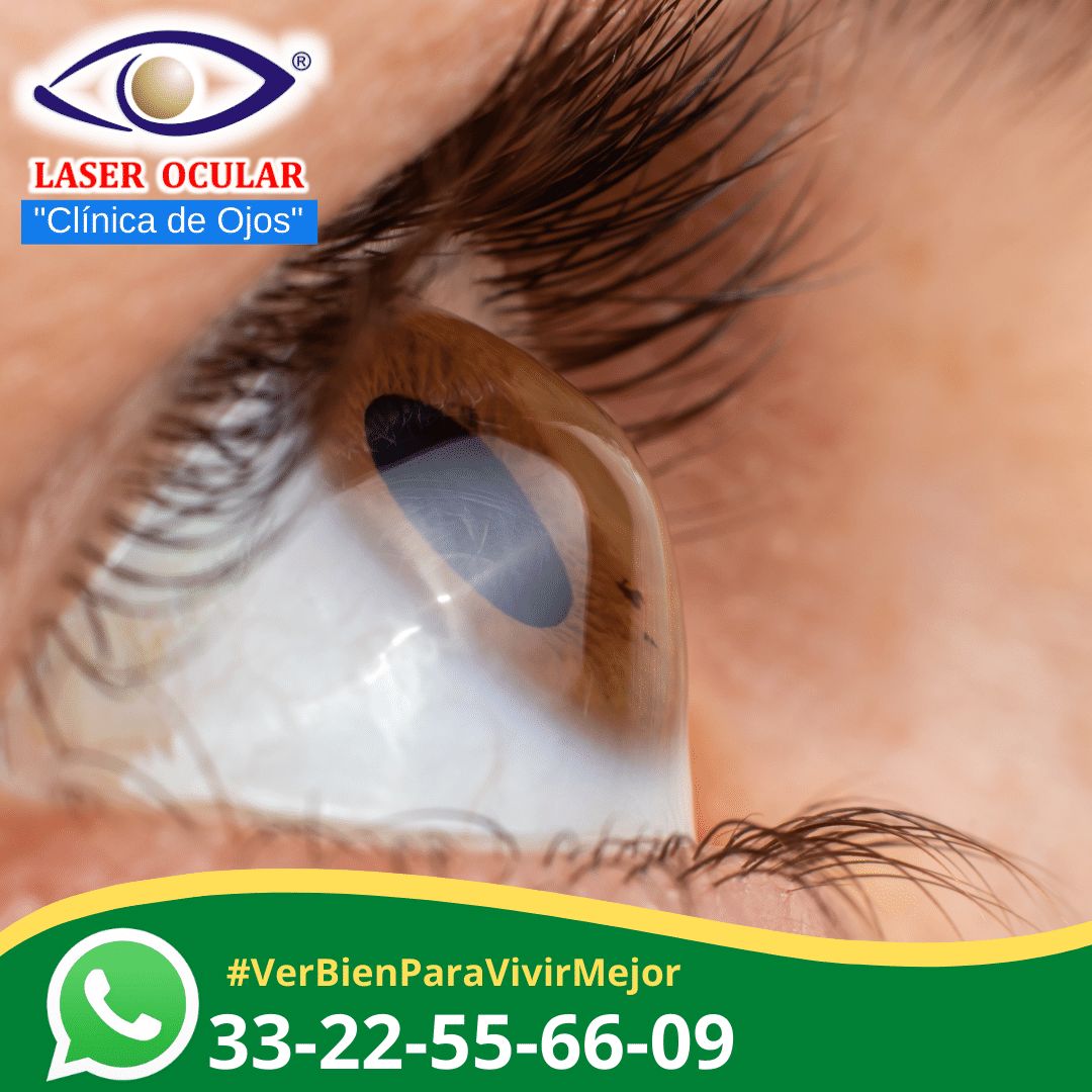 José Luis Salinas Gallegos-8