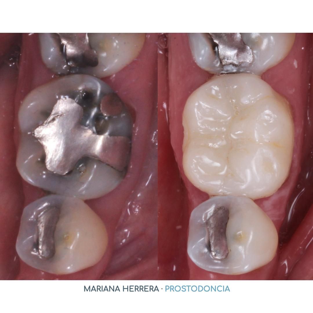 Mariana Herrera Martín Del Campo-21