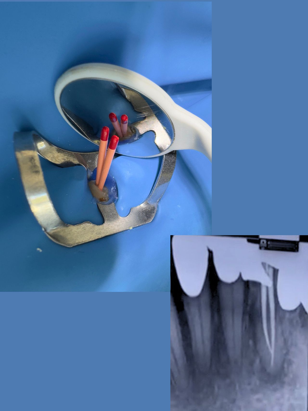 Jessica Jaime Miranda-3