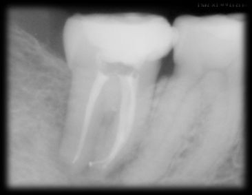 Ana Guadalupe Ontiveros Granados-3