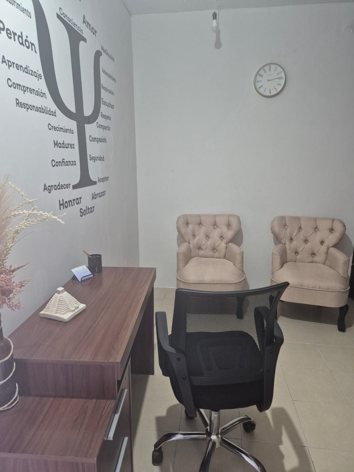 Norma Piña Patiño-0