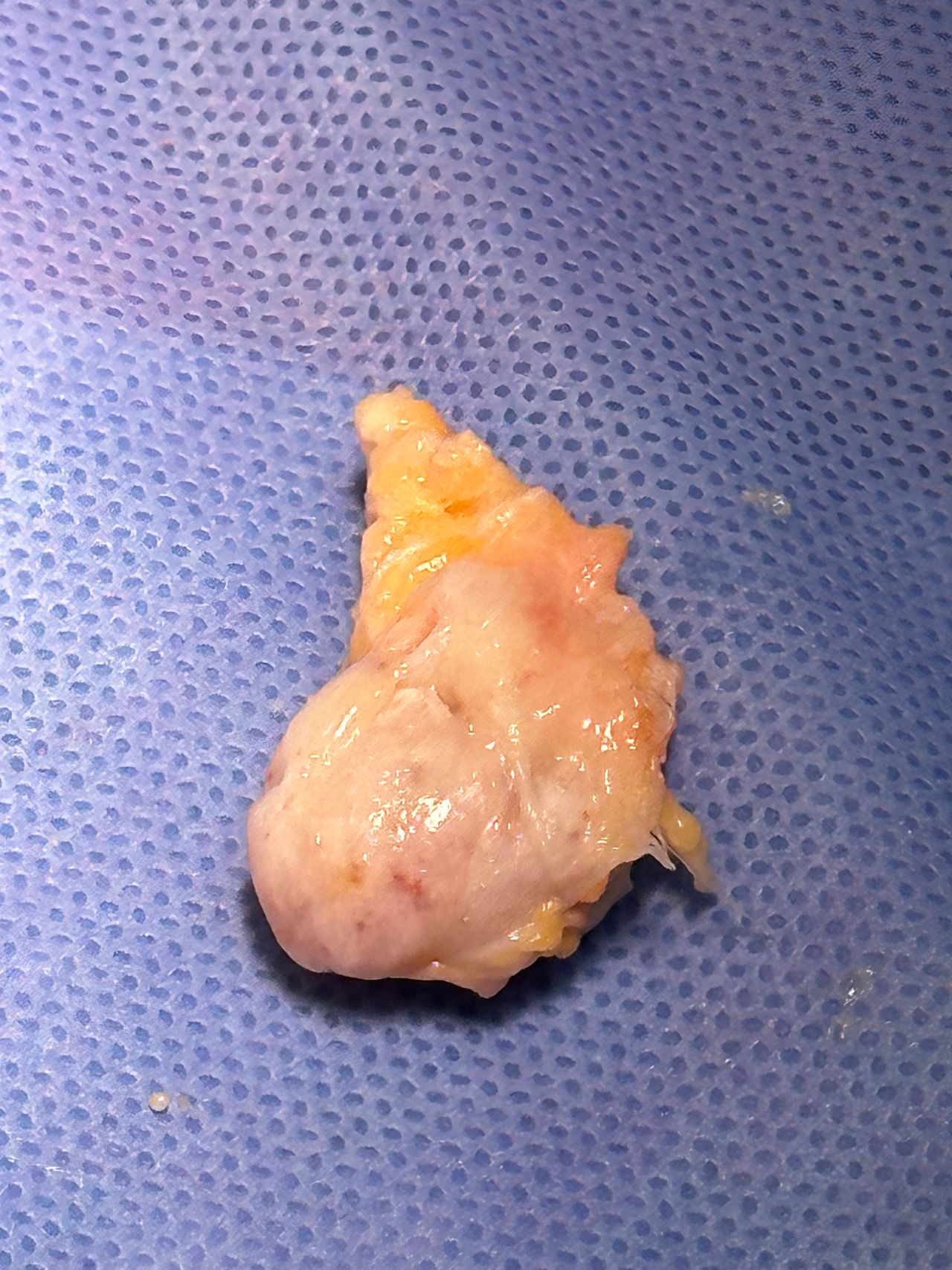 Luis Enrique Armenta  Ramirez-5