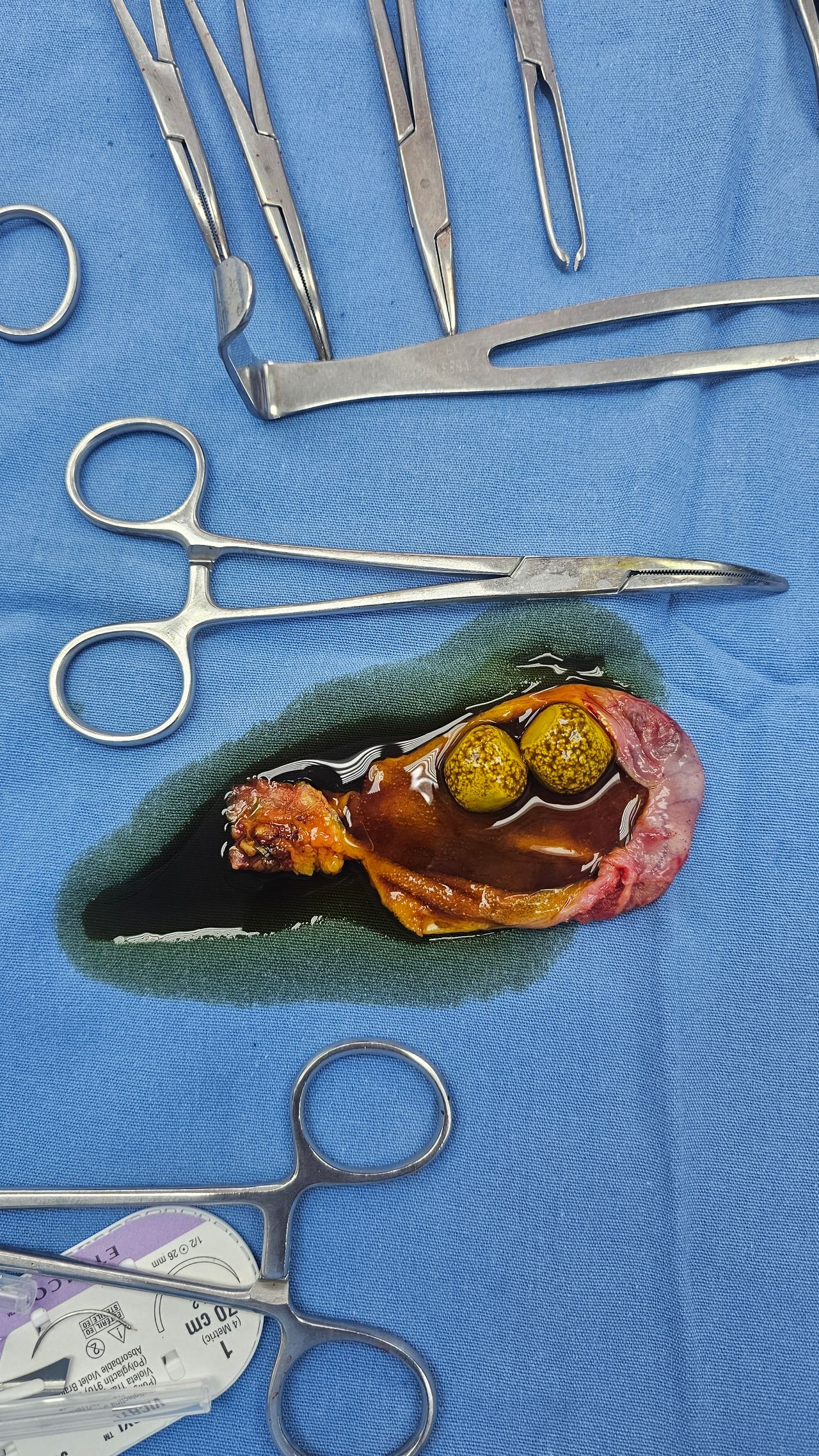 Nelson A. Saavedra Estrada-23