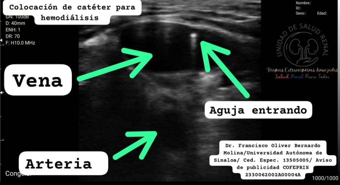 Francisco Oliver Bernardo Molina-0
