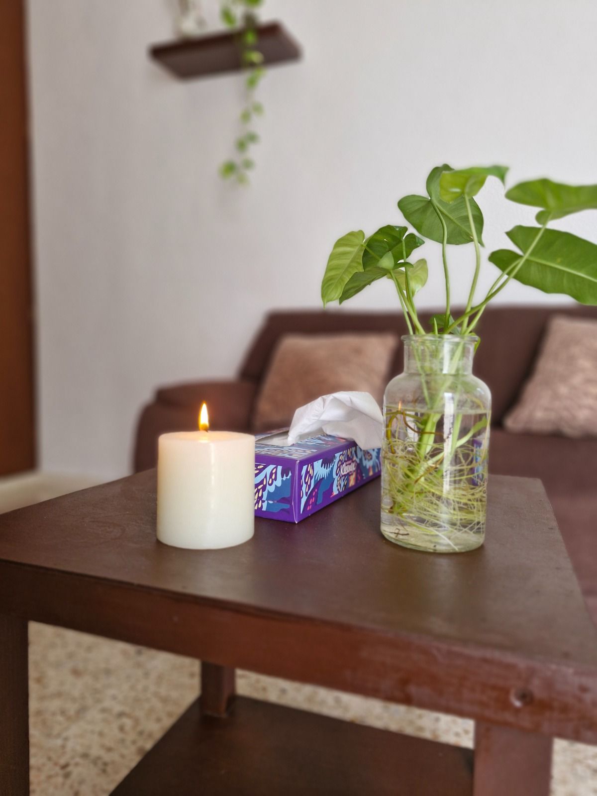 Lidia Gabriela Pech Balam-9